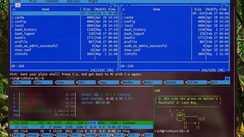 微软在 Windows 10 中搞了个真正的 Linux 内核